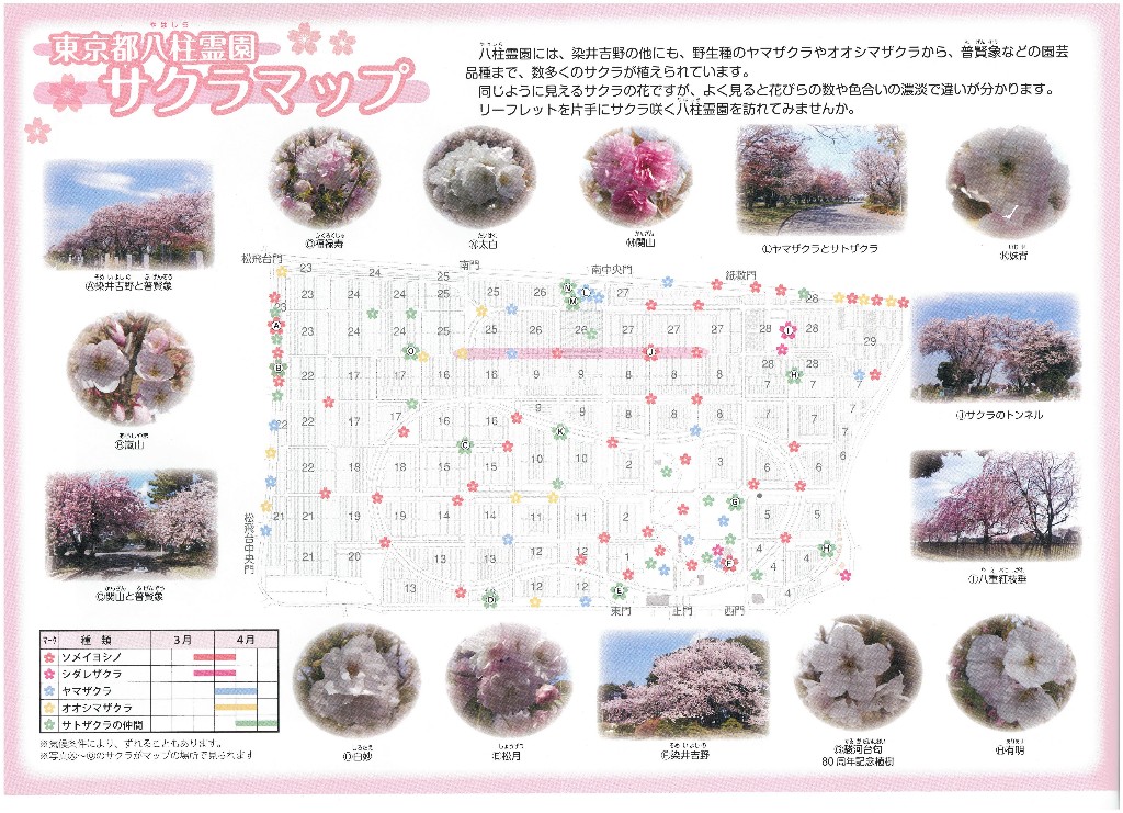 朔間さくら様 お見積もり 法人のお客様 - お客様に・お荷物に・環境にやさしい引越