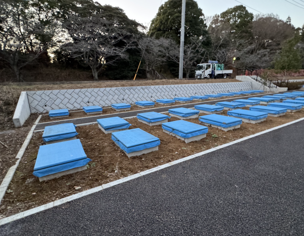 平和公園のカ4区とカ5区の現状写真